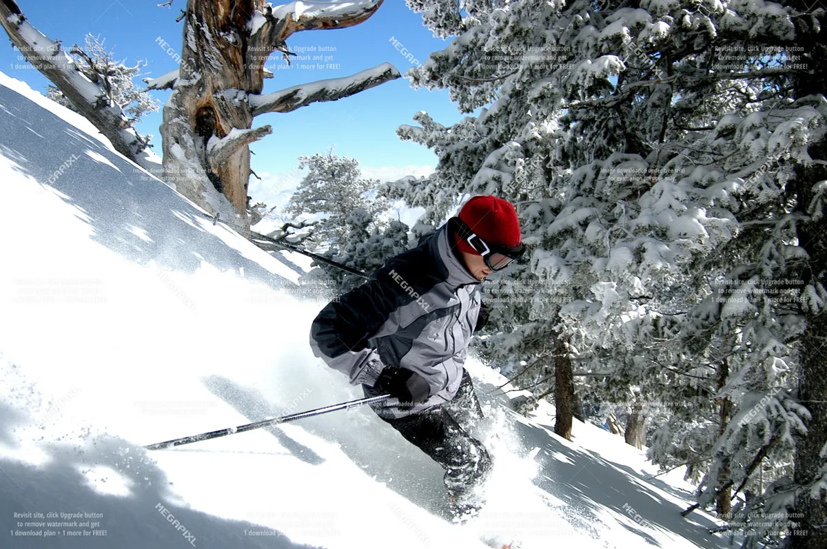 An exhilarating scene of a skier racing down a snow-covered mountain slope, surrounded by majestic, snow-laden trees. The expansive slope and pristine landscape capture the adventure and beauty of the local mountain ranges.
