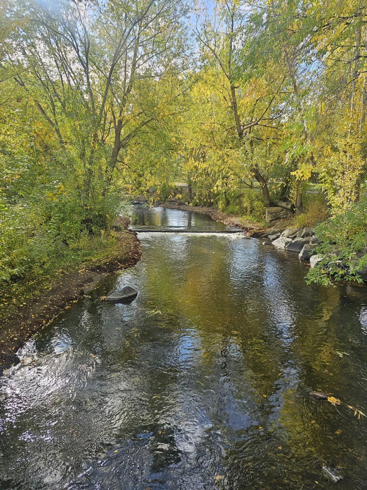 A tranquil riverside scene featuring a gently flowing river lined by lush trees, with sunlight reflecting off the water. The peaceful setting invites thoughts of nature walks, fishing, and relaxing by the water’s edge.